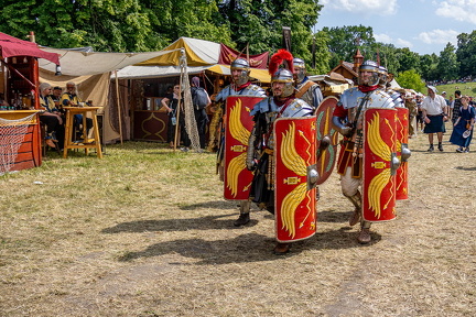 ma worms 2025 web 1500-021