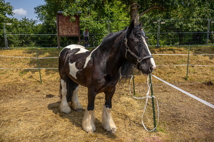 MA Philippsburg 2025 web 1500-014